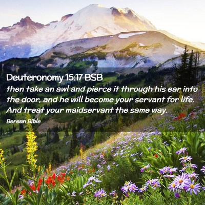 Picture 02 - Deuteronomy 15:17 BSB - then take an awl and pierce it through his ear - Bible Verse Picture