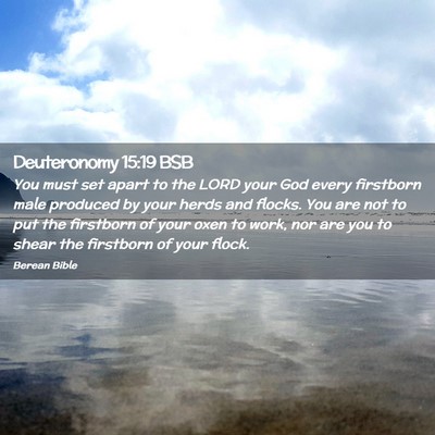 Picture 02 - Deuteronomy 15:19 BSB - You must set apart to the LORD your God every - Bible Verse Picture