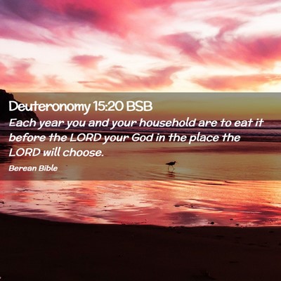 Picture 02 - Deuteronomy 15:20 BSB - Each year you and your household are to eat it - Bible Verse Picture