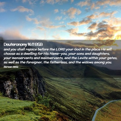 Picture 02 - Deuteronomy 16:11 BSB - and you shall rejoice before the LORD your God in - Bible Verse Picture