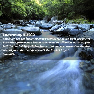 Picture 02 - Deuteronomy 16:3 BSB - You must not eat leavened bread with it; for - Bible Verse Picture