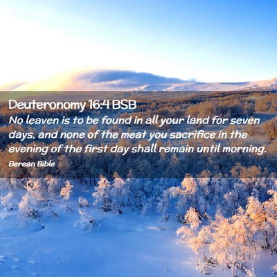 Picture 02 - Deuteronomy 16:4 BSB - No leaven is to be found in all your land for - Bible Verse Picture