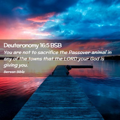Picture 02 - Deuteronomy 16:5 BSB - You are not to sacrifice the Passover animal in - Bible Verse Picture