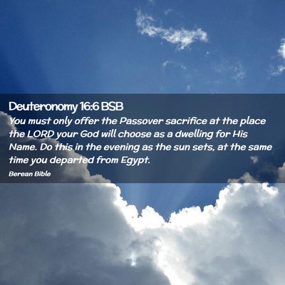 Picture 02 - Deuteronomy 16:6 BSB - You must only offer the Passover sacrifice at the - Bible Verse Picture