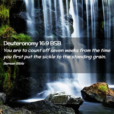 Picture 02 - Deuteronomy 16:9 BSB - You are to count off seven weeks from the time - Bible Verse Picture