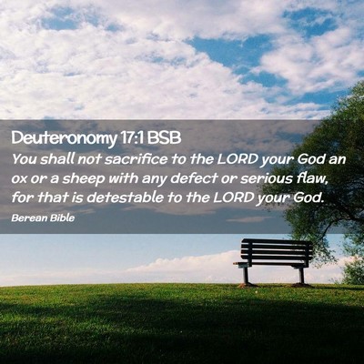 Picture 02 - Deuteronomy 17:1 BSB - You shall not sacrifice to the LORD your God an - Bible Verse Picture