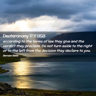 Picture 02 - Deuteronomy 17:11 BSB - according to the terms of law they give and the - Bible Verse Picture