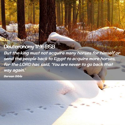 Picture 02 - Deuteronomy 17:16 BSB - But the king must not acquire many horses for - Bible Verse Picture