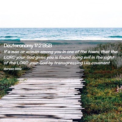 Picture 02 - Deuteronomy 17:2 BSB - If a man or woman among you in one of the towns - Bible Verse Picture