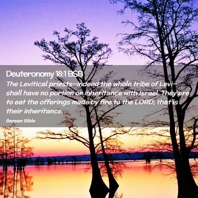 Picture 02 - Deuteronomy 18:1 BSB - The Levitical priests—indeed the whole tribe of - Bible Verse Picture