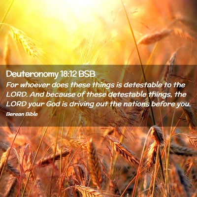 Picture 02 - Deuteronomy 18:12 BSB - For whoever does these things is detestable to - Bible Verse Picture