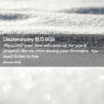 Picture 02 - Deuteronomy 18:15 BSB - The LORD your God will raise up for you a prophet - Bible Verse Picture