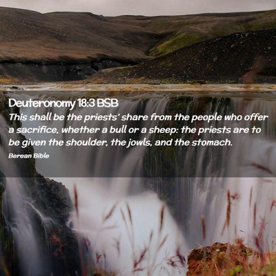 Picture 02 - Deuteronomy 18:3 BSB - This shall be the priests’ share from the - Bible Verse Picture