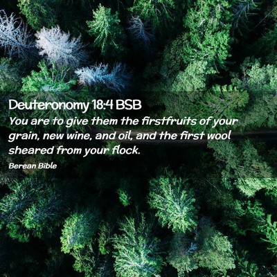 Picture 02 - Deuteronomy 18:4 BSB - You are to give them the firstfruits of your - Bible Verse Picture