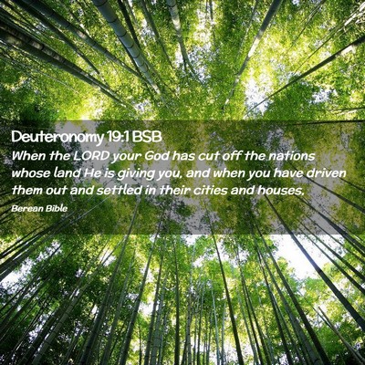 Picture 02 - Deuteronomy 19:1 BSB - When the LORD your God has cut off the nations - Bible Verse Picture