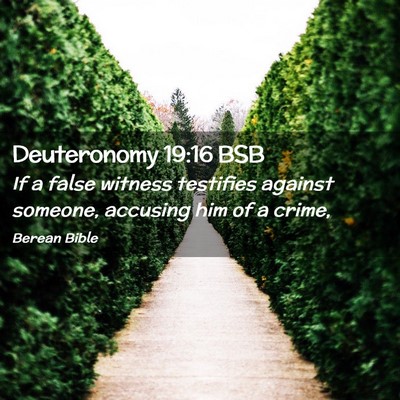 Picture 02 - Deuteronomy 19:16 BSB - If a false witness testifies against someone, - Bible Verse Picture