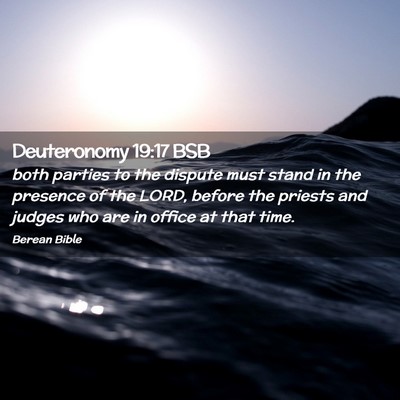 Picture 02 - Deuteronomy 19:17 BSB - both parties to the dispute must stand in the - Bible Verse Picture