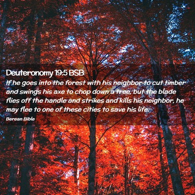 Picture 02 - Deuteronomy 19:5 BSB - If he goes into the forest with his neighbor to - Bible Verse Picture