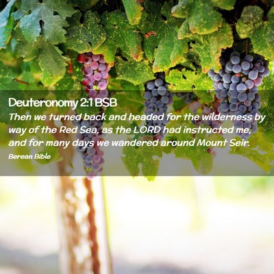 Picture 02 - Deuteronomy 2:1 BSB - Then we turned back and headed for the wilderness - Bible Verse Picture