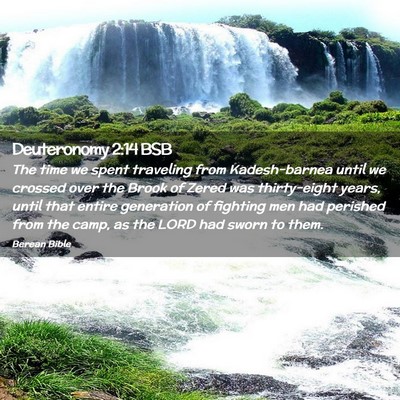 Picture 02 - Deuteronomy 2:14 BSB - The time we spent traveling from Kadesh-barnea - Bible Verse Picture