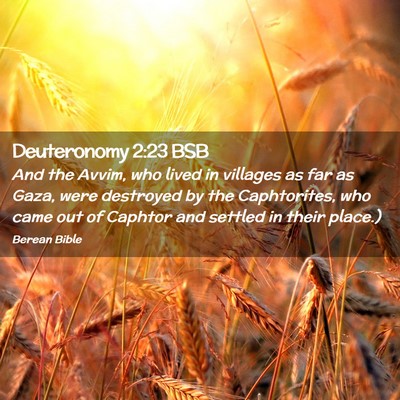 Picture 02 - Deuteronomy 2:23 BSB - And the Avvim, who lived in villages as far as - Bible Verse Picture