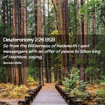 Picture 02 - Deuteronomy 2:26 BSB - So from the Wilderness of Kedemoth I sent - Bible Verse Picture