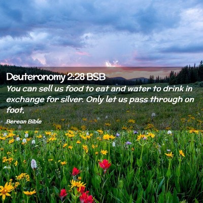 Picture 02 - Deuteronomy 2:28 BSB - You can sell us food to eat and water to drink in - Bible Verse Picture