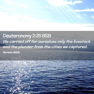 Picture 02 - Deuteronomy 2:35 BSB - We carried off for ourselves only the livestock - Bible Verse Picture