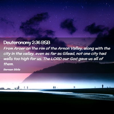 Picture 02 - Deuteronomy 2:36 BSB - From Aroer on the rim of the Arnon Valley, along - Bible Verse Picture