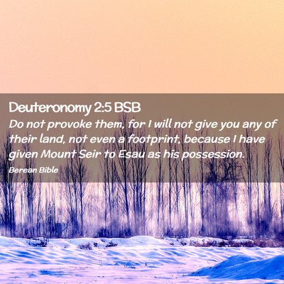 Picture 02 - Deuteronomy 2:5 BSB - Do not provoke them, for I will not give you any - Bible Verse Picture
