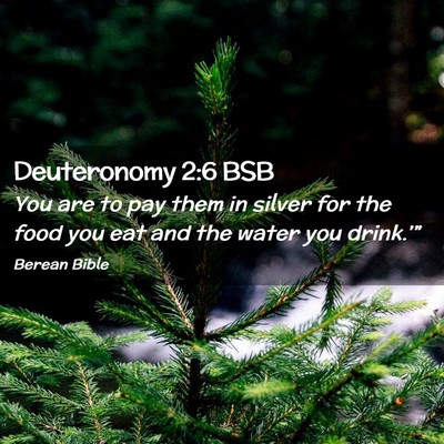 Picture 02 - Deuteronomy 2:6 BSB - You are to pay them in silver for the food you - Bible Verse Picture