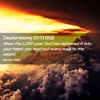Picture 02 - Deuteronomy 20:13 BSB - When the LORD your God has delivered it into your - Bible Verse Picture
