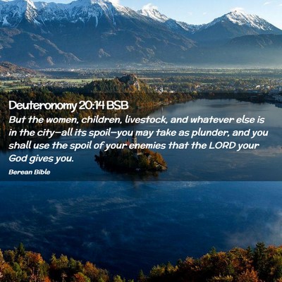 Picture 02 - Deuteronomy 20:14 BSB - But the women, children, livestock, and whatever - Bible Verse Picture
