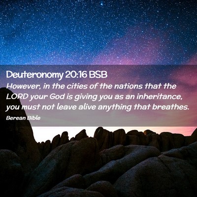 Picture 02 - Deuteronomy 20:16 BSB - However, in the cities of the nations that the - Bible Verse Picture