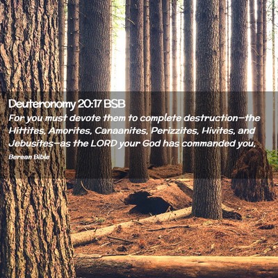 Picture 02 - Deuteronomy 20:17 BSB - For you must devote them to complete - Bible Verse Picture