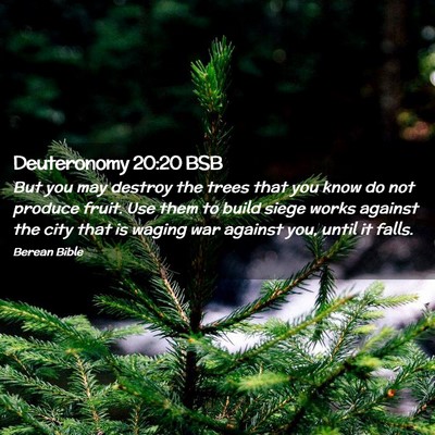 Picture 02 - Deuteronomy 20:20 BSB - But you may destroy the trees that you know do - Bible Verse Picture