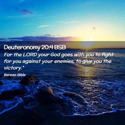 Picture 02 - Deuteronomy 20:4 BSB - For the LORD your God goes with you to fight for - Bible Verse Picture