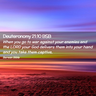 Picture 02 - Deuteronomy 21:10 BSB - When you go to war against your enemies and the - Bible Verse Picture