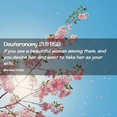 Picture 02 - Deuteronomy 21:11 BSB - if you see a beautiful woman among them, and you - Bible Verse Picture