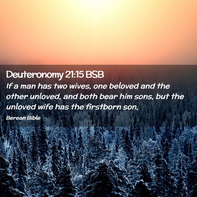 Picture 02 - Deuteronomy 21:15 BSB - If a man has two wives, one beloved and the other - Bible Verse Picture