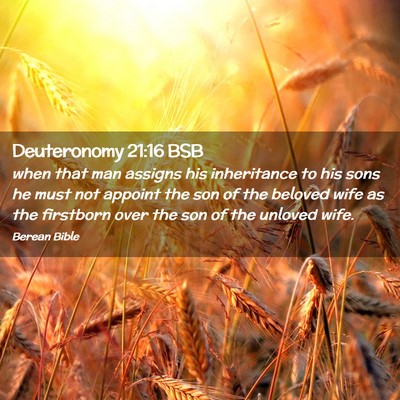 Picture 02 - Deuteronomy 21:16 BSB - when that man assigns his inheritance to his sons - Bible Verse Picture