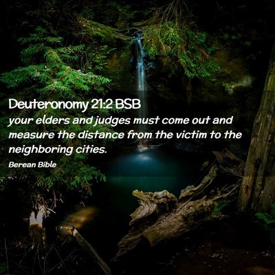 Picture 02 - Deuteronomy 21:2 BSB - your elders and judges must come out and measure - Bible Verse Picture