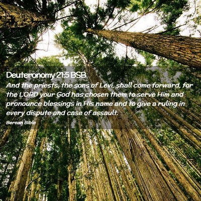 Picture 02 - Deuteronomy 21:5 BSB - And the priests, the sons of Levi, shall come - Bible Verse Picture