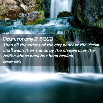 Picture 02 - Deuteronomy 21:6 BSB - Then all the elders of the city nearest the - Bible Verse Picture