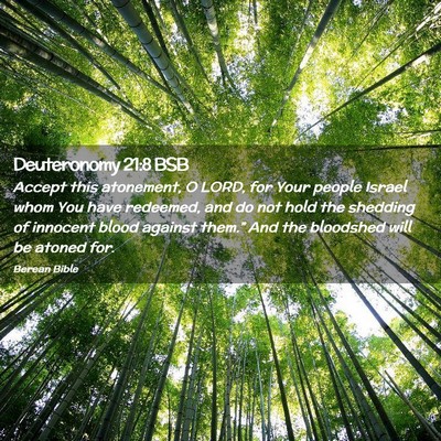 Picture 02 - Deuteronomy 21:8 BSB - Accept this atonement, O LORD, for Your people - Bible Verse Picture