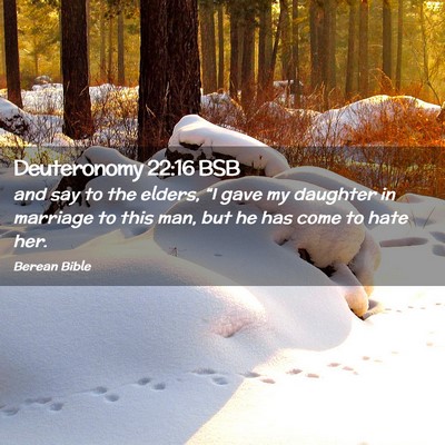 Picture 02 - Deuteronomy 22:16 BSB - and say to the elders, “I gave my daughter in - Bible Verse Picture