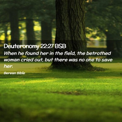 Picture 02 - Deuteronomy 22:27 BSB - When he found her in the field, the betrothed - Bible Verse Picture