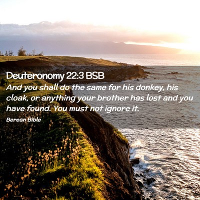 Picture 02 - Deuteronomy 22:3 BSB - And you shall do the same for his donkey, his - Bible Verse Picture