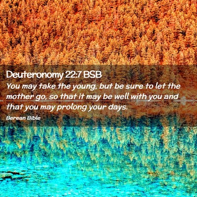 Picture 02 - Deuteronomy 22:7 BSB - You may take the young, but be sure to let the - Bible Verse Picture