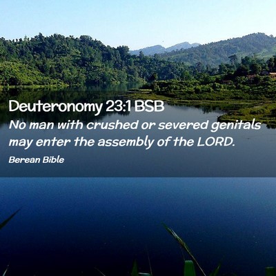 Picture 02 - Deuteronomy 23:1 BSB - No man with crushed or severed genitals may enter - Bible Verse Picture